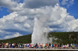 イエローストーン国立公園 Yellowstone Pecペックツアー